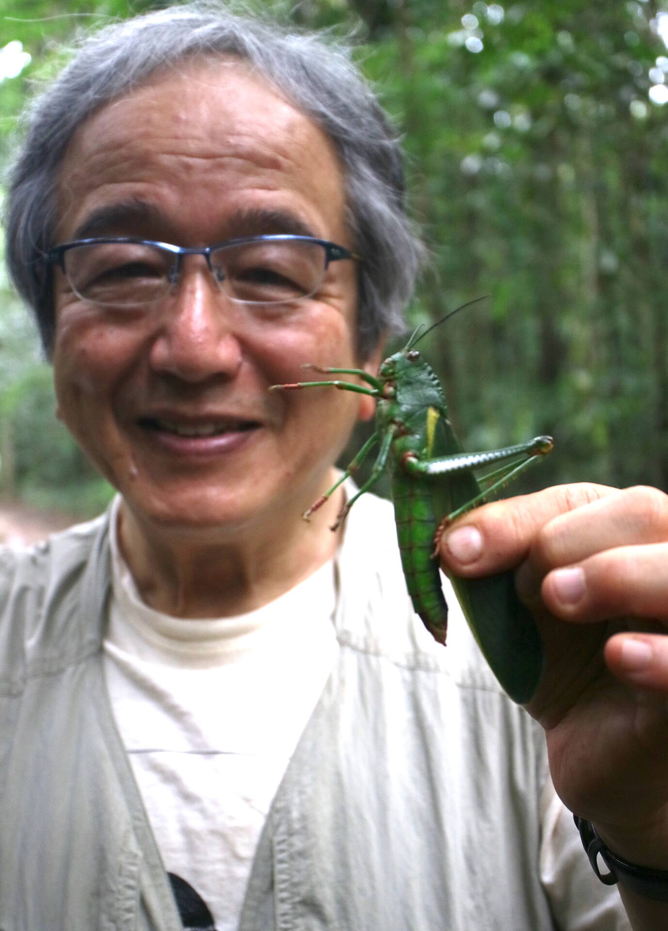 フォトギャラリー：虫林 in French Guiana - (7)