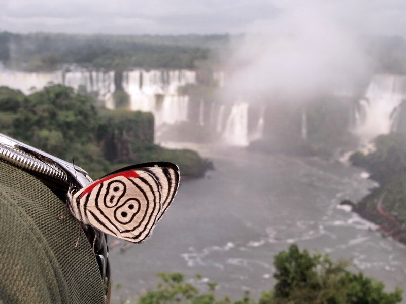 イグアスの滝　Iguazu Fallsページ背景画像