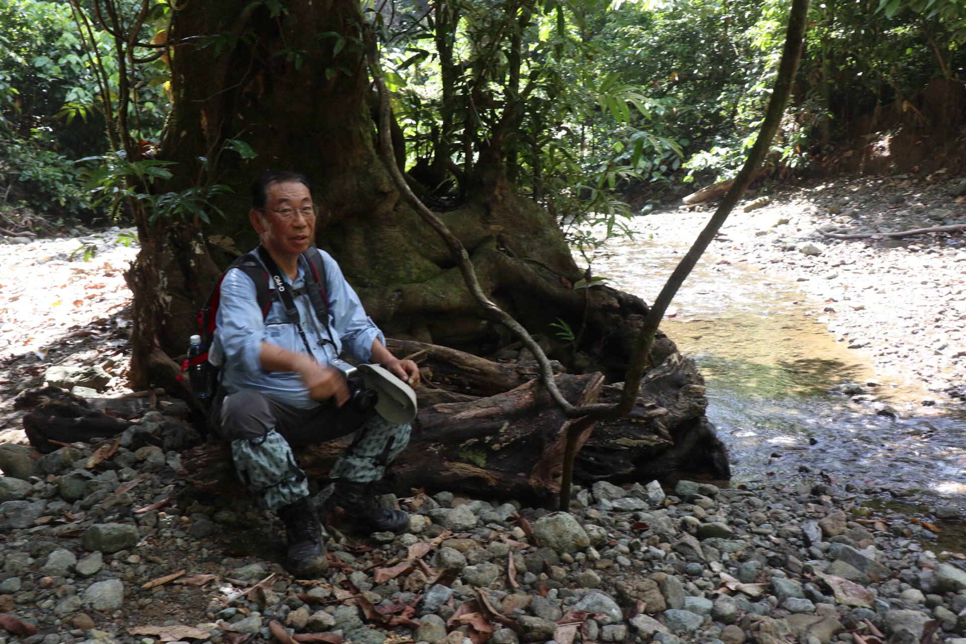 フォトギャラリー：山口 進  in Borneo - (13)