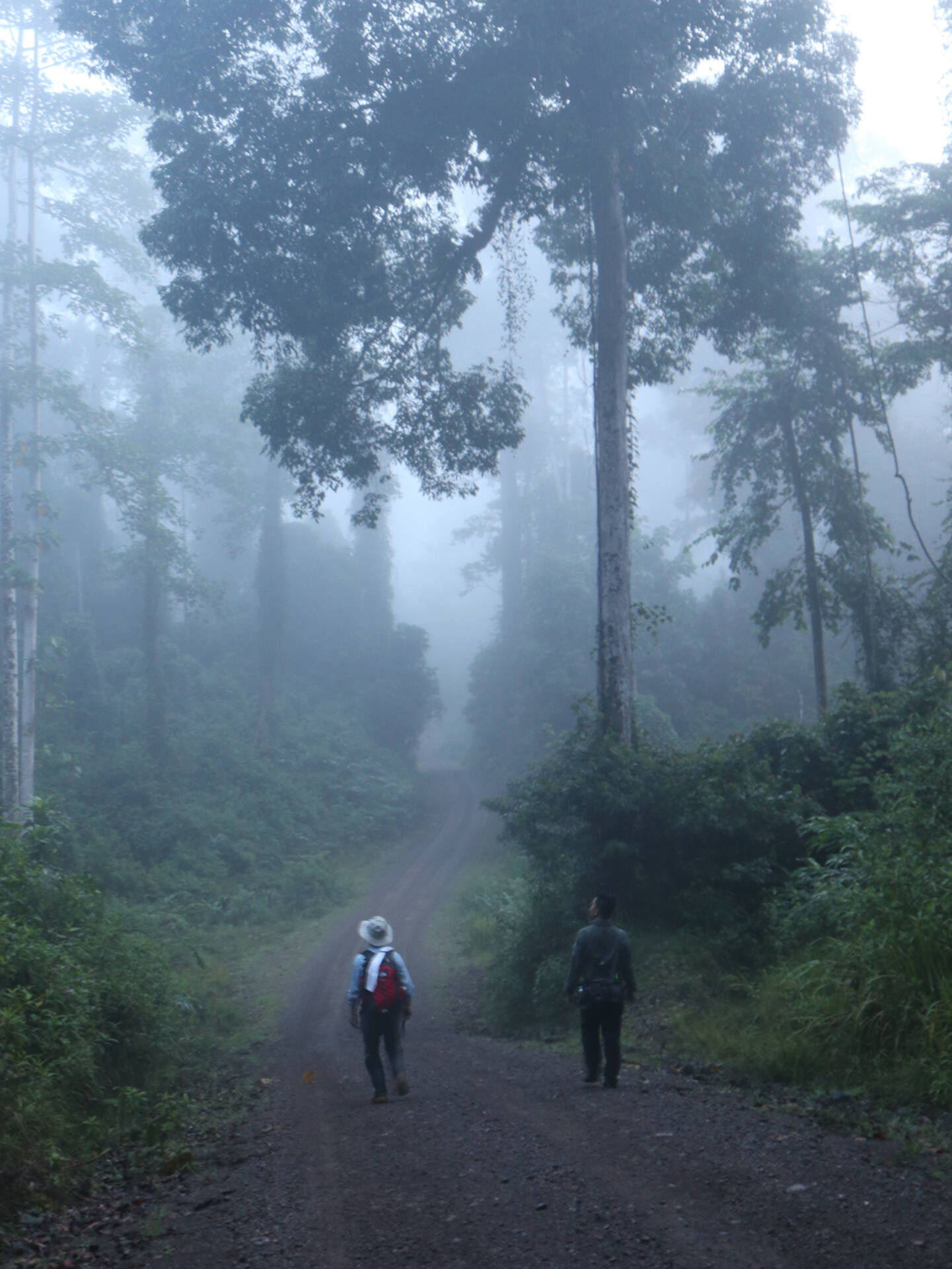 フォトギャラリー：山口 進  in Borneo - (14)