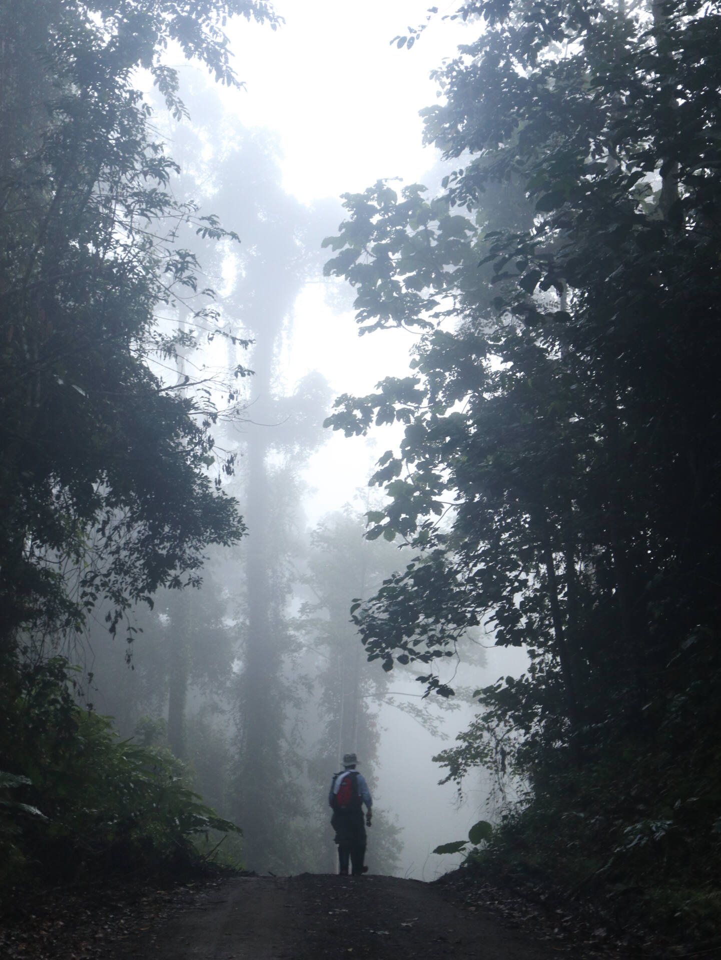 フォトギャラリー：Susumu ＆ Ryohei in Borneo - (23)