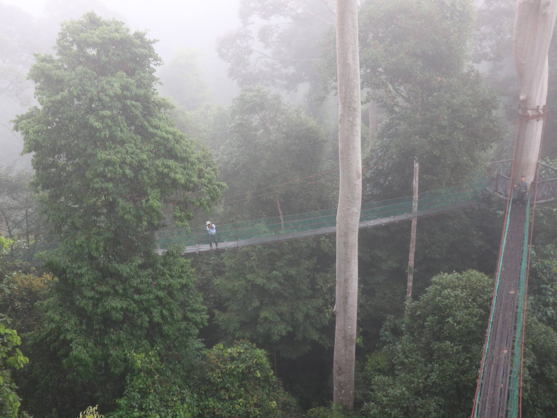 フォトギャラリー：Susumu ＆ Ryohei in Borneo - (24)