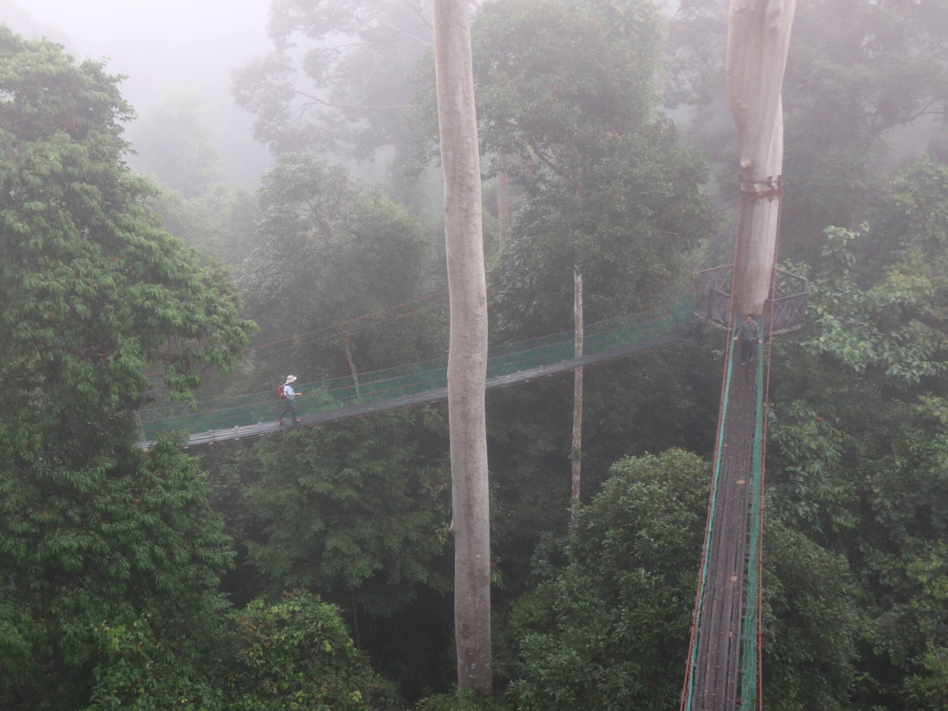 フォトギャラリー：Susumu ＆ Ryohei in Borneo - (25)