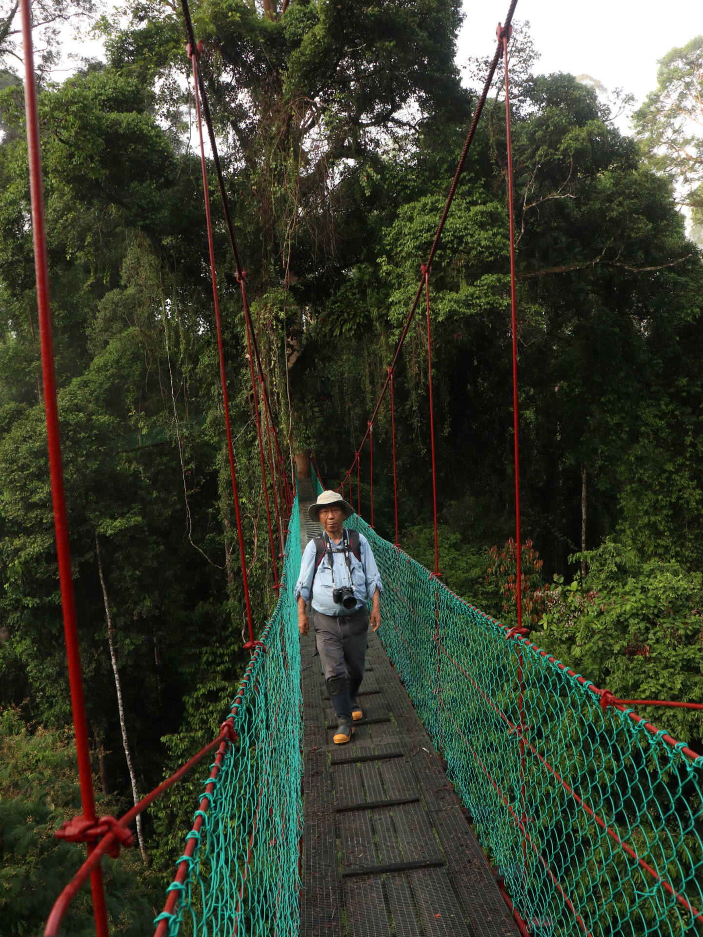 フォトギャラリー：山口 進  in Borneo - (15)