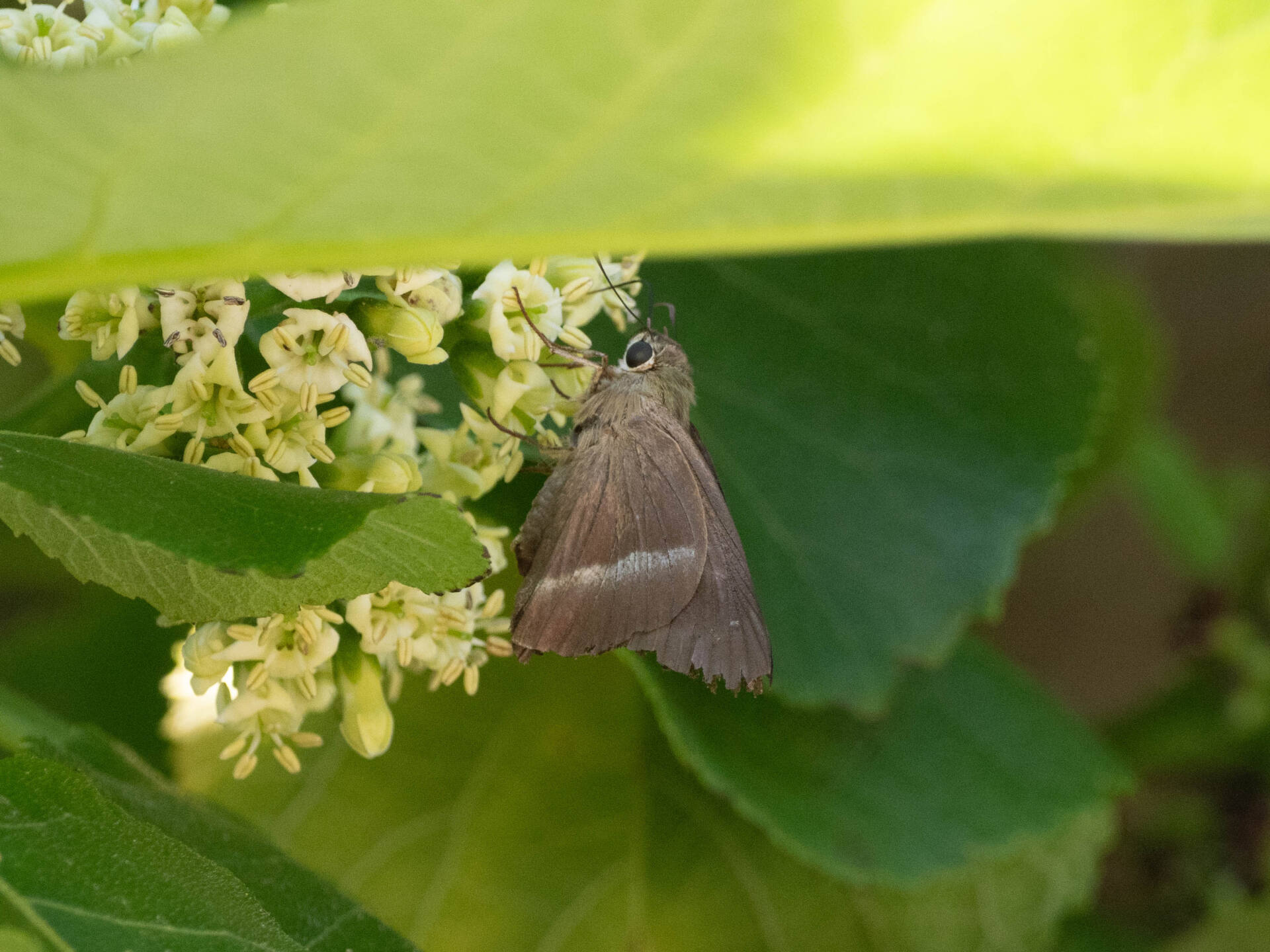 フォトギャラリー：'26.04.08の投稿