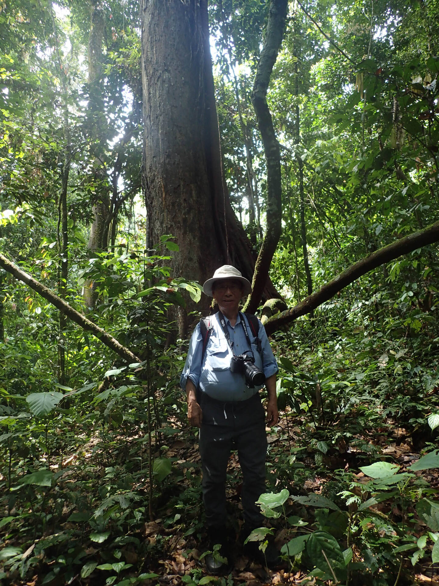 フォトギャラリー：山口 進  in Borneo - (16)