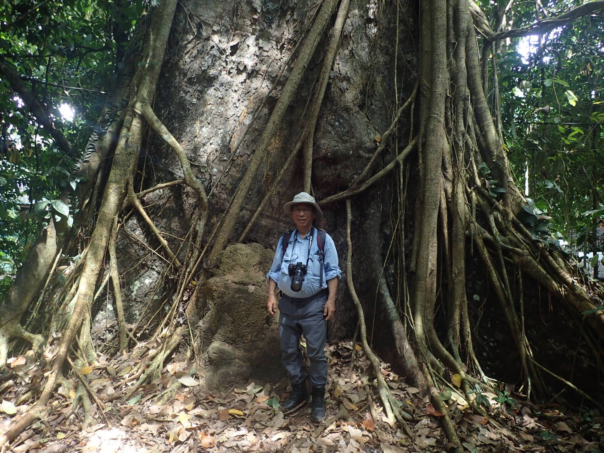 フォトギャラリー：山口 進  in Borneo - (17)