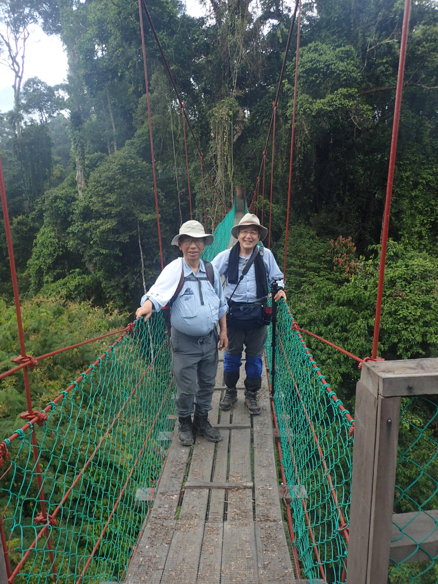 フォトギャラリー：山口 進  in Borneo - (22)