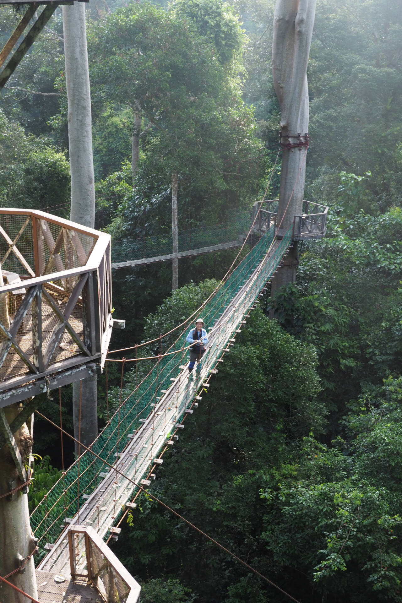 フォトギャラリー：Susumu ＆ Ryohei in Borneo - (3)