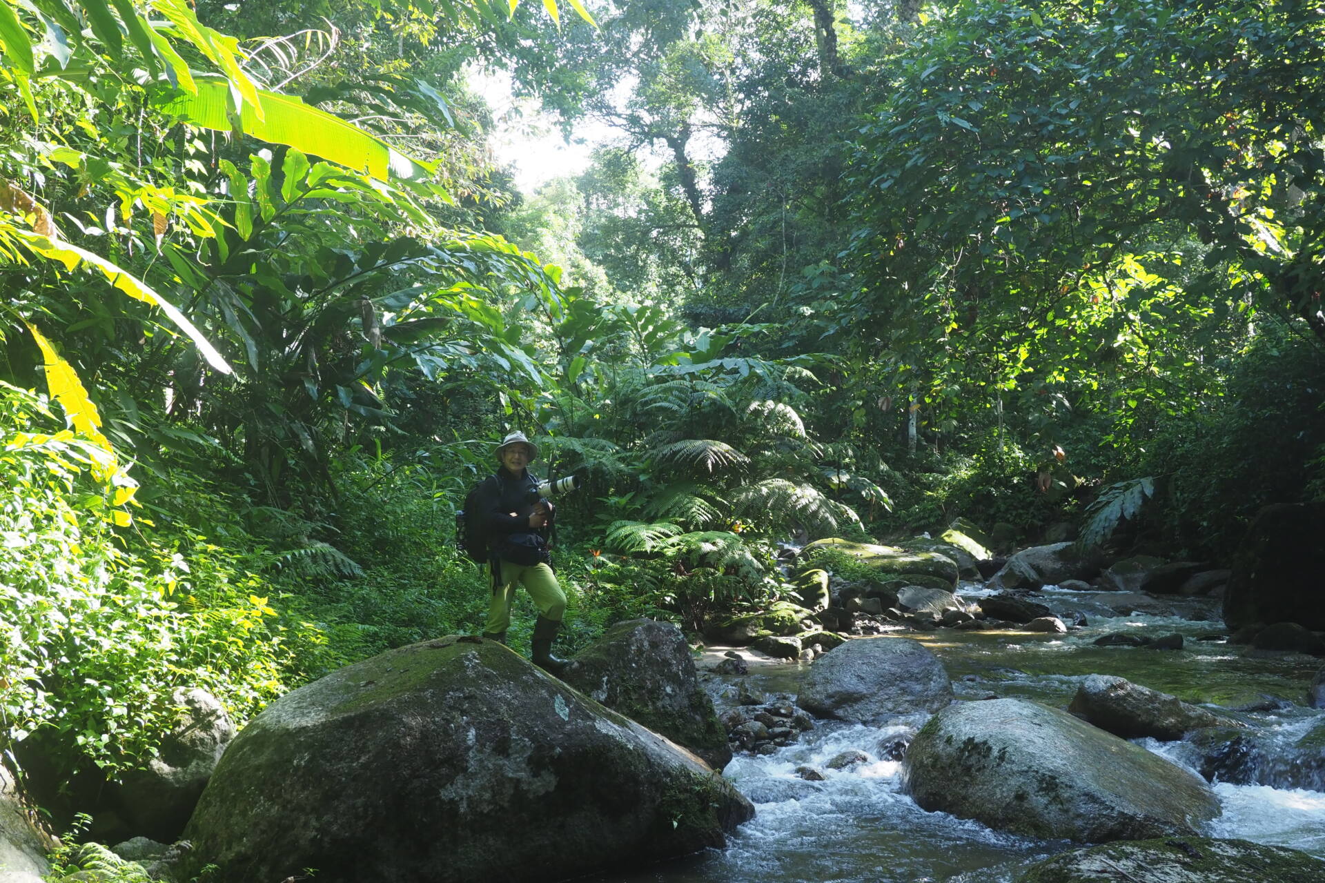 フォトギャラリー：Susumu ＆ Ryohei in Borneo - (4)